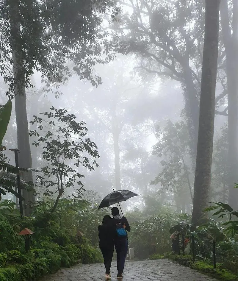 Areca Valley Farmstay Agali 0*,